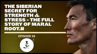 The Siberian Secret for Strength & Stress - The Full Story of Maral Root