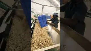 Matchbox Factory  #viralvideo #tiktok #factory #shortstrending #shorts