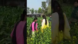 Gaon Ki Shaanti ✨  First Drone Fly || DJI Mini 3 Drone || Drone shorts #djimini3  #shorts #dji