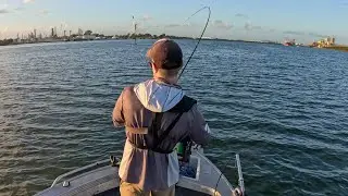 Fun Times with Micro Jigs, BFS Gear & More! - Brisbane River Fishing!