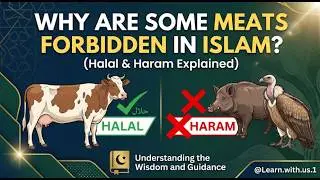 Why some animals meat is forbidden in ISLAM do you know ,@Learn.with.us.1
