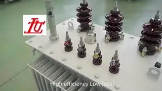 Oil Immersed Transformer from Realiable Manufacturer