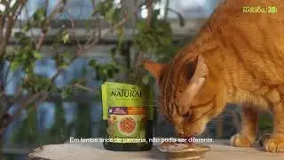 Bold - Filme Campanha Guabi Natural / 20 anos