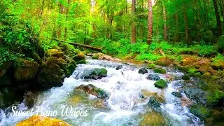 Relaxing Piano Music - Soothing Piano Music For Stress Relief, Calming Relaxation Music to Sleep