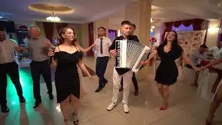Muzica de petrecere LIVE 🔴 - ParaMusic Band - Formatie Nunti Pitesti, Formatie Nunti Bucuresti