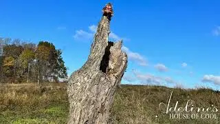 Grand River Marsh Wildlife Area: Another Adeline's House of Cool Adventure