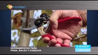 Conozca las mallas y alambres agr&iacute;colas, y m&aacute;s soluciones agropecuarias de Prodac