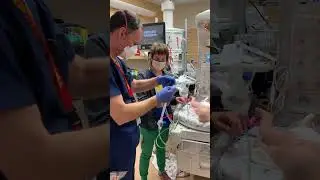 How to set up the Neo-Tee with Respiratory Therapy Part 1