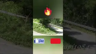 #rally #wrc #crash #racing #citroenracing  #puresounds #automobile #rallylife #rallycar