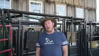 Dr. Michael Knapp: animal consumption