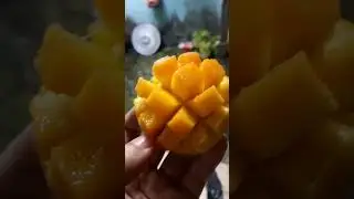 Mango peel #aesthetic #art #artist