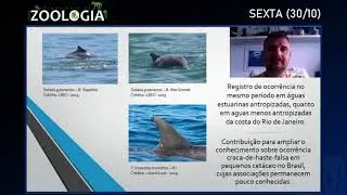 REGISTRO DE CRACA-DE-HASTE-FALSA, XENOBALANUS GLOBICIPITIS, ...NO ESTADO DO RIO DE JANEIRO