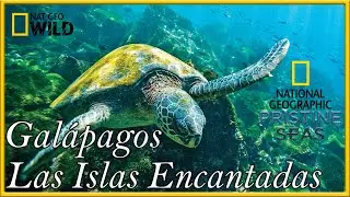 Gal&aacute;pagos Las Islas Encantadas [Ecuador][Parte 2]Documental NAT GEO  HD