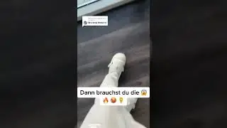 WinterSharkies.de ⛄🧸 Kuschelig & Gem&uuml;tlich 🔥 #sharkies #shorts #viral #ytshorts #deutsch #ytshort
