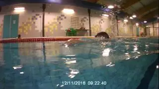 Master Training 12 nov 2016