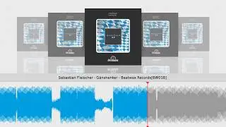 Sebastian Fleischer - G&auml;nshenker - Beatwax Records[BW018]