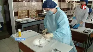 Студенты ВГМХА сегодня сдали экзамен на соответствие профессиональным стандартам