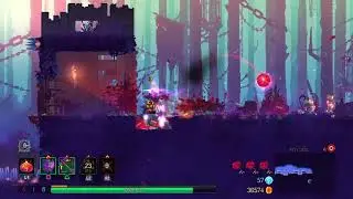 Dead Cells I Love the Assault Shield