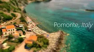 Pomonte wreck dive