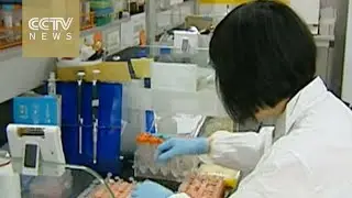 Study shows China&rsquo;s overuse of antibiotics