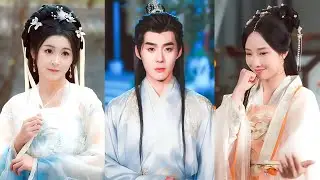 Vạch Mặt Gian Thần Lật Đổ Triều Đình Dành Tự Do, Cô Gái Quậy Tung Hầu Phủ Vẫn Được Phu Quân Bảo Vệ