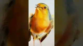 From Brushstrokes to Life: Creating a Stunning Watercolor Robin Bird Painting