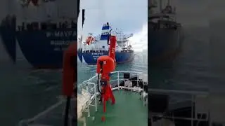 Shipping & Towage
