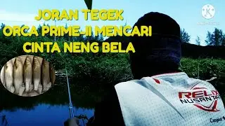 Joran tegek Orca Prime-II mencari cinta neng bela