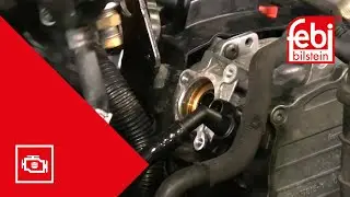 [DE] VW AG: Wechsel des Ventilstößels der Kraftstoffhochdruckpumpe bei Modellen mit 2.0 FSi-/TFSi