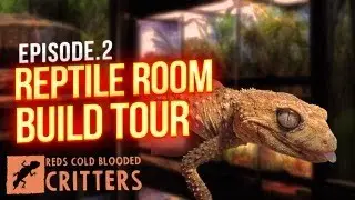 Reptile Room Build Tour Episode 2