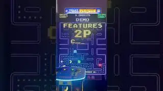 World&rsquo;s largest PAC-MAN?