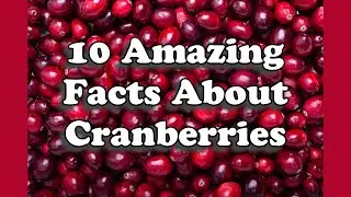 Amazing Facts About Cranberries You Probably Didn't Know!!!
