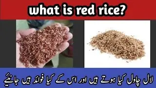 Red Rice Benefits Of Red Rice What Are Red Rice?  Red Rice For Weight Loss Saherishworld