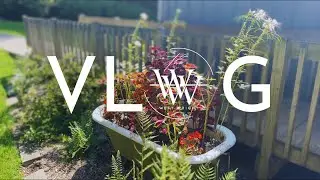 Join me for a fun Fiber Art Guild Meeting! VLOG 8-12-24