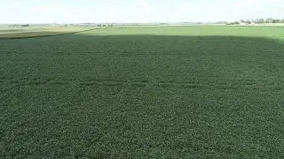 NW Iowa land auction sets new record price for ag land