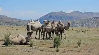 EXPEDITION LIFE Незабываемая поездка на озеро Караколь и Бестобе❤️