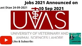 UVAS Jobs 2021 | University of Veterinary & Animal Sciences Lahore | Jobs Info