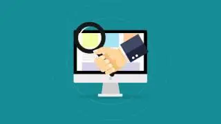 The SEO Specialist New Zealand