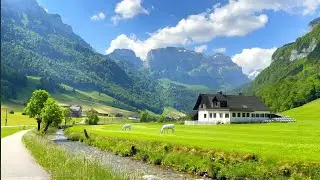 Peaceful Vibes: 3 Hours of Soothing Nature & Chill Music #Relax #Nature #Focus