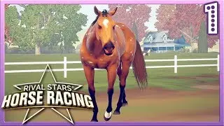 Wir ZÜCHTEN ein RENNPFERD 🏇🏼 Rival Stars Horse Racing | Let's Play #1 [DEUTSCH]