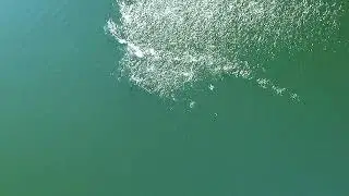 Asp Attack