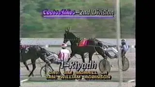 1993 The Meadows RIYADH The Adios Pace World Record Jim Morrill Jr.