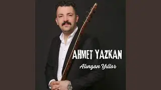 Alıngan Yıllar