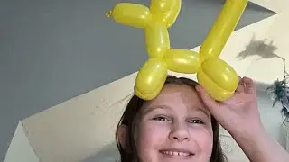 How to make a balloon dog.
