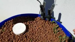 Barrel Aquaponics - Vertical Grow Tower Combined