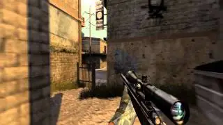SnakeID (undetected wh/chams/aim assist) May 2014