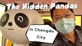 Search the Hidden Pandas in the Chengdu City