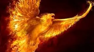 OPPT Max Igan - Surviving the Matrix - Feb 15th, 2013
