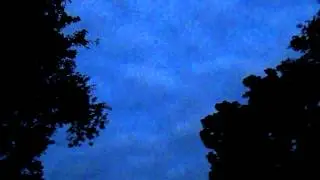 asmr - morning cicadas