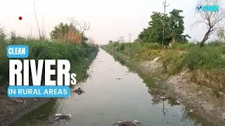 How to check pollution in rivers in India #delhiyamuna #waterquality #saveenvironment #cleanriver